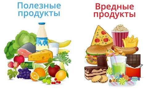 Изображения столовой.