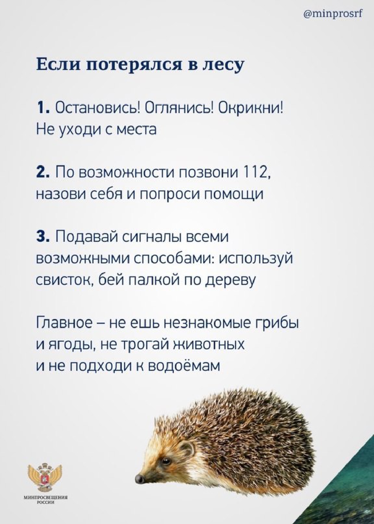 Изображения.
